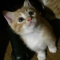 10月20日産まれです