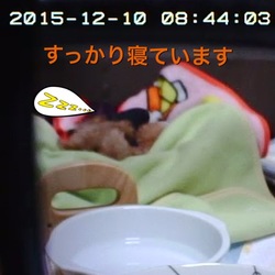 「お留守番  見守ります」サムネイル3