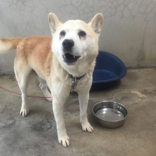 とっても素敵な家族が出来たよ♡まっててよかった