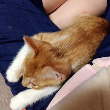 の写真