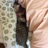 の写真