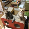 の写真