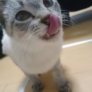 《沢山のご応募ありがとうございました！》