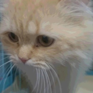 ﾗｶﾞﾏﾌｨﾝ＊一旦募集停止いたします