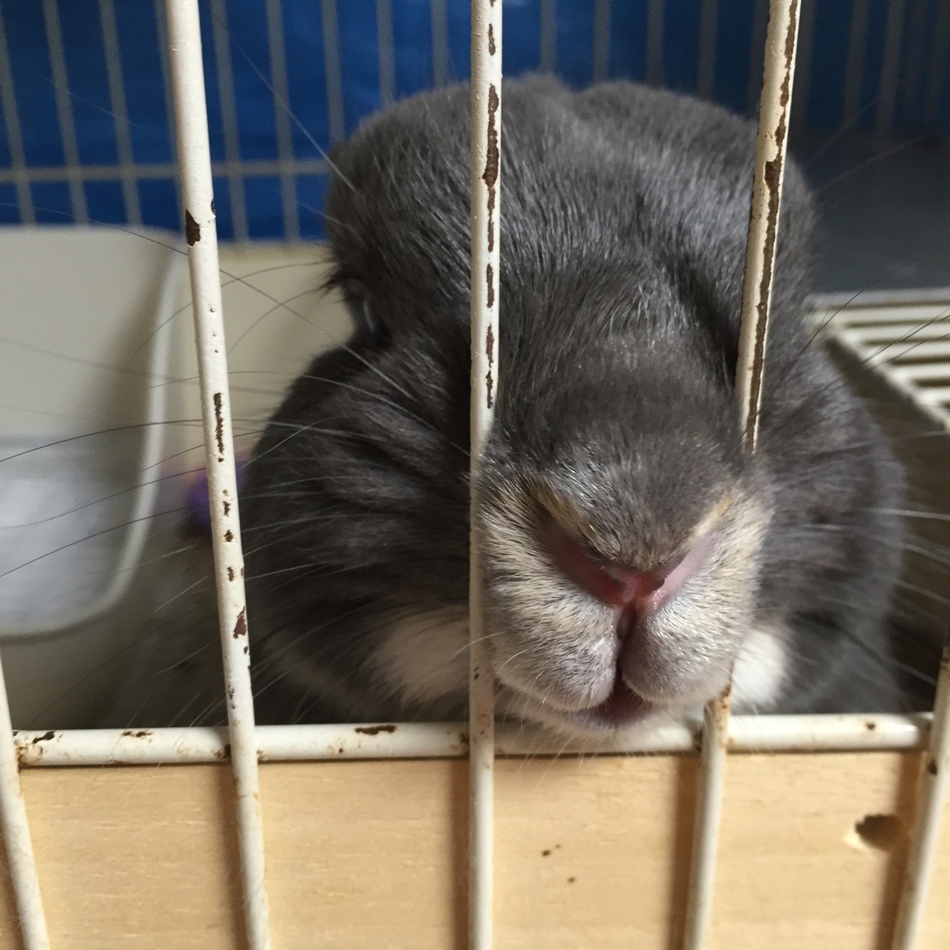 COCOのカバー写真