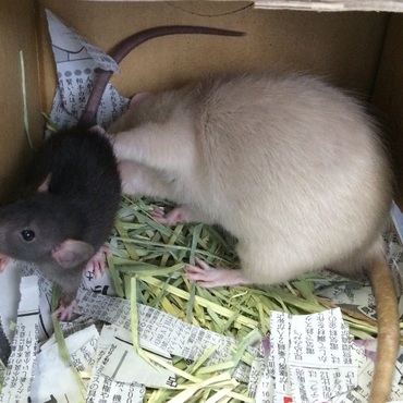 お前は誰だ。確認確認‼︎