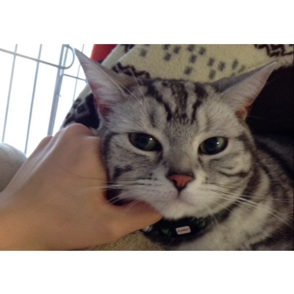 ベルのカバー写真