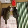 の写真