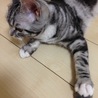 遊ぶの大好き！