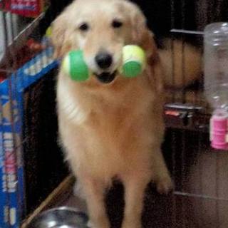 応募者多数のため一旦締め切らせていただきます。