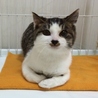 キーちゃん