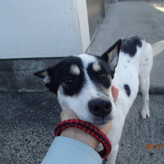 譲渡されました！！