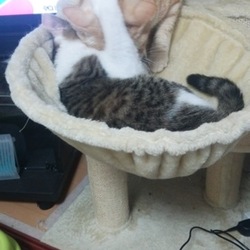 「場所の取り合い」サムネイル1