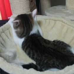 「場所の取り合い」サムネイル2