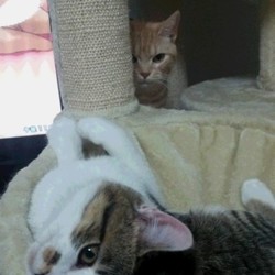 「場所の取り合い」サムネイル3