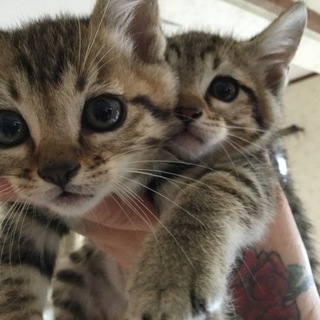 沢山のご応募有難う御座いました