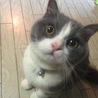 ご飯待ち～♪♪