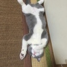 ネンネ