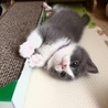家族になった頃♪2ヵ月