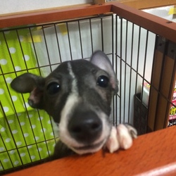 新しい家族がやってきました♪