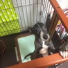 跳ねてます♪