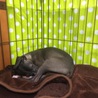おやすみ〜☆