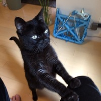 KIKI