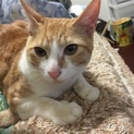 現在交渉させていただいています。