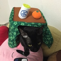 じっちゃ