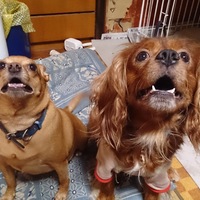 バックス&マーブル