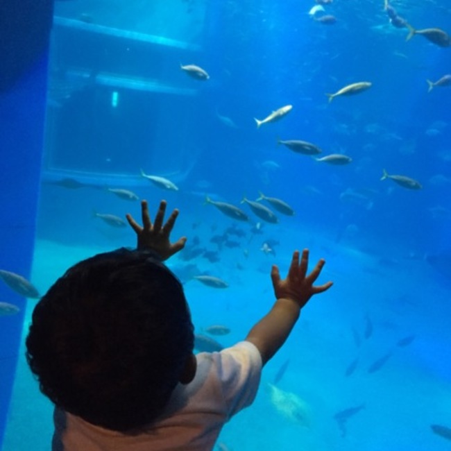 mark..のカバー写真