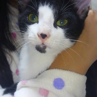 生後三ヶ月の男の子「ガブちゃん」