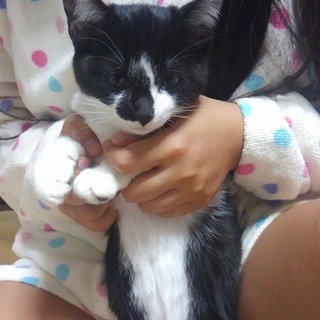 生後３ヶ月の女の子「ジェイ」