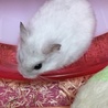 ウインク❤︎