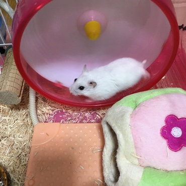 回ってるよー