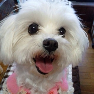 愛情を持って可愛がって下さる方！