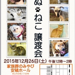 第1回 いぬねこ譲渡会