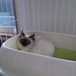 こんなに大きくなりました