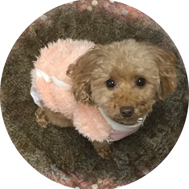 こんな顔で見つめられると‥‥