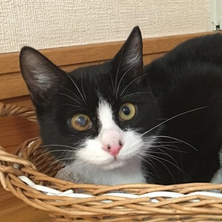 はっちゃん♡