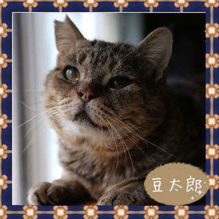 若くない歯がない声が出ない。でも愛嬌だけは抜群！