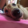 ぶさかわスマーフ