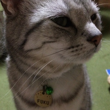の写真