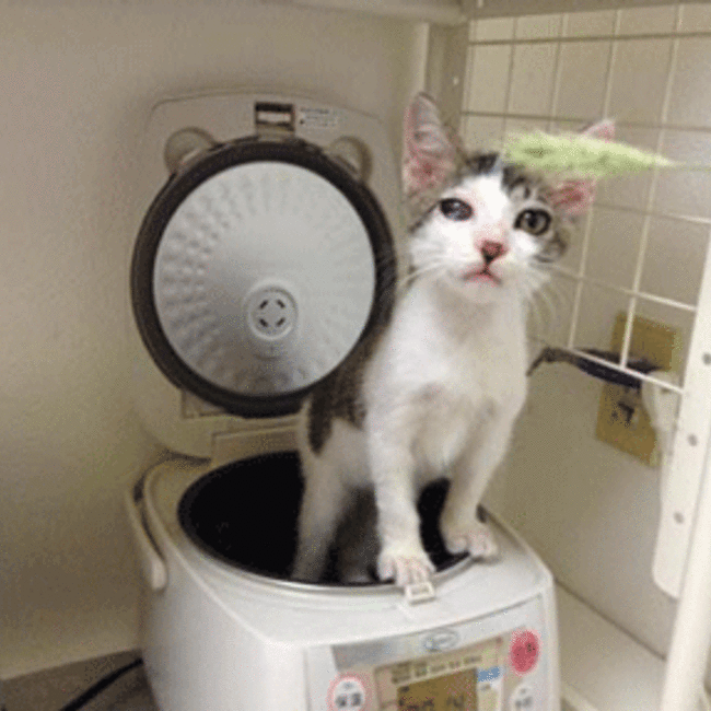 あすかのカバー写真