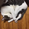 みゆきとリン
