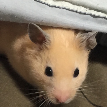 の写真