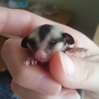 たくさんのご応募ありがとうございました。