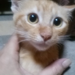 ありがとうございました！