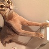 の写真