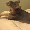 ものすごく寝起き